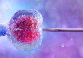 De katholieke kerk heeft het IVF-proces en de productie van deze embryo's lang veroordeeld, maar deze waarschuwingen zijn niet opgevolgd en er zijn nu naar schatting 1 miljoen ingevroren embryo's, alleen al in de VS. (foto: Corona Borealis / Shutterstock)