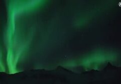 thumbnail (1)